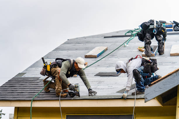 Professional Storm Damage Roof Repair technician working in La France, SC